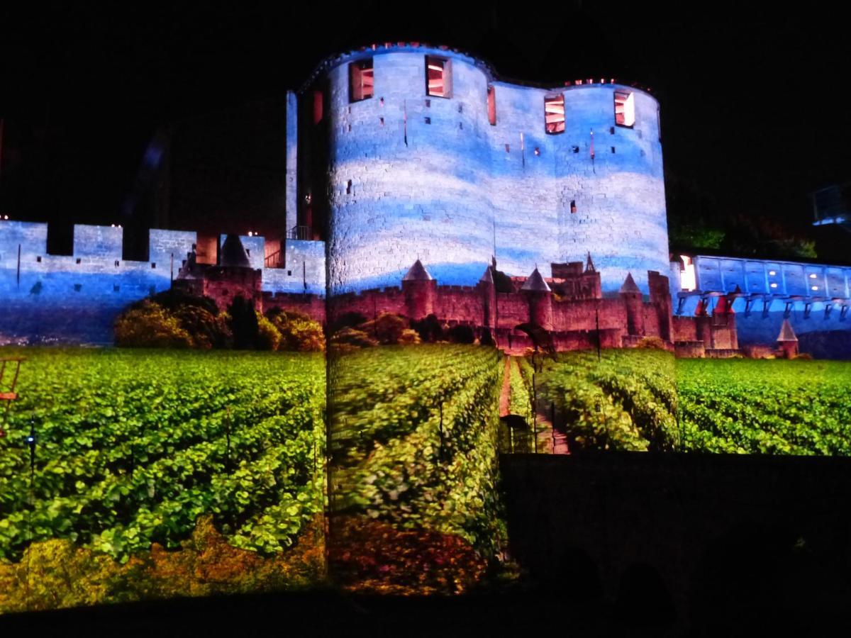 Maison Des Remparts Nichee Sous La Cite